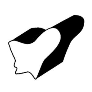 Image de CAOUTCHOUC-MOUSSE HAUT DE PORTE #375