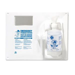 Picture of Single Eyewash Station with 500ml Empty Bottle